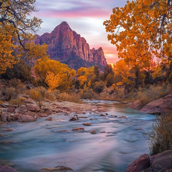 Meet your Posher, Wendy - Picture 5 of 8